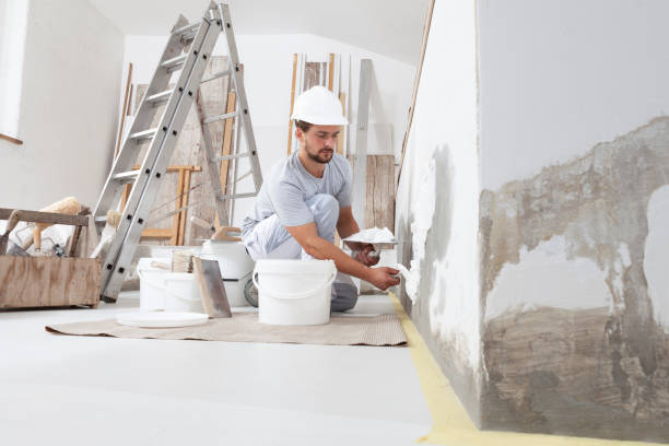 Best Ceiling Painting Services  in USA